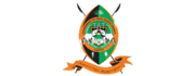 County government